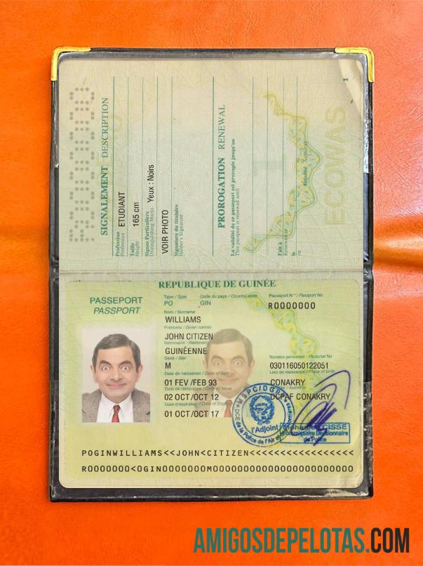 Passaporte da Guiné Versão 2 Photolook baixar para verificação